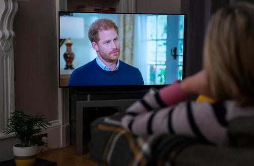 哈利最近爆料了吗视频播放,揭秘幕后真相  第1张