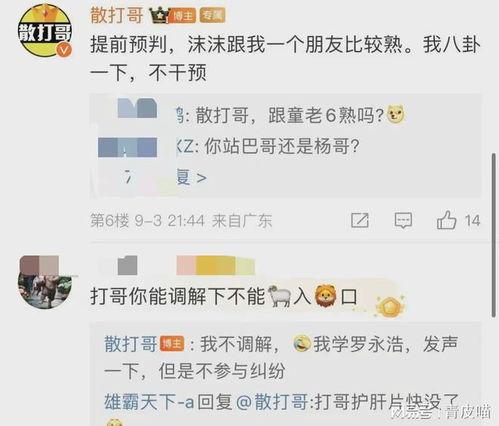 爆料网红三哥视频下载,独家攻略大公开！  第3张