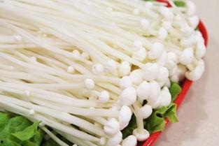 金针菇今日爆料最新,揭秘娱乐圈惊人内幕! 第2张 金针菇今日爆料最新,揭秘娱乐圈惊人内幕! 第2张